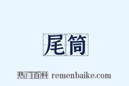 尾筒是什么意思的图片